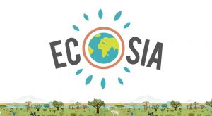 Ecosia, a tool with which you can save the Amazon rainforest